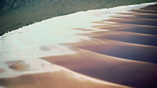 Lake Pedder by Olegas Truchanas