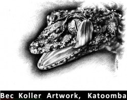 http://www.facebook.com/pages/Rebecca-Koller/347595641988610