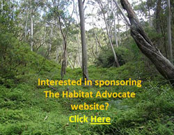 >Go to our 'Supporting The Habitat Advocate' page