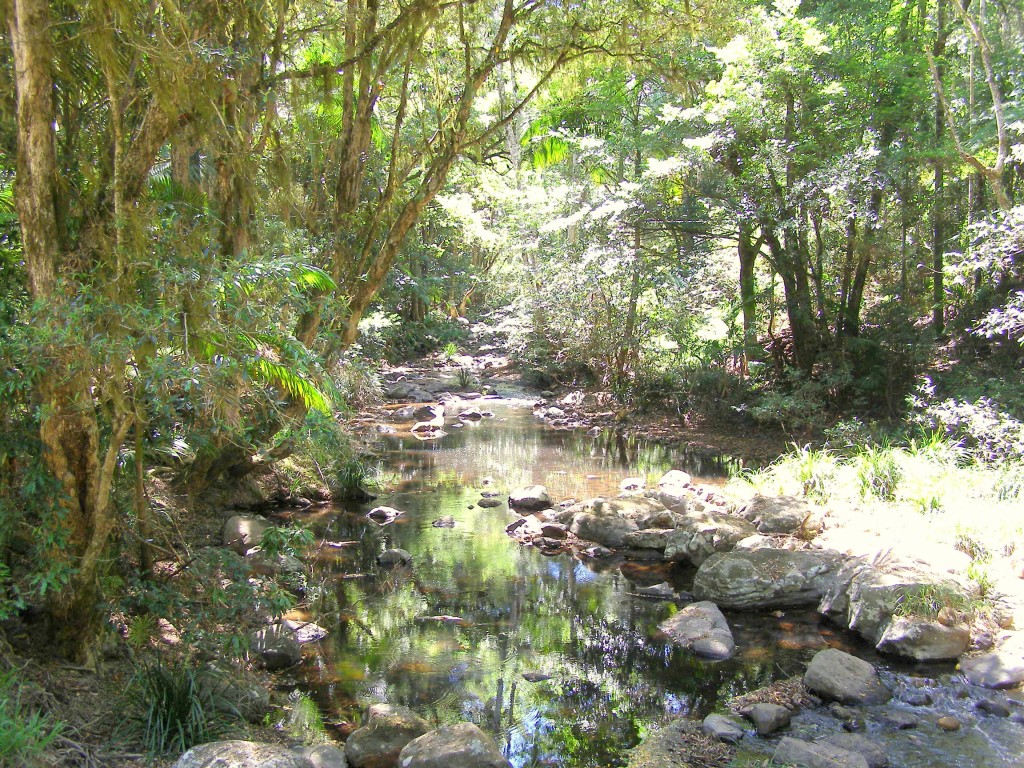 Terania Creek