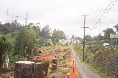 Leura trees destroyed by RTA 2006