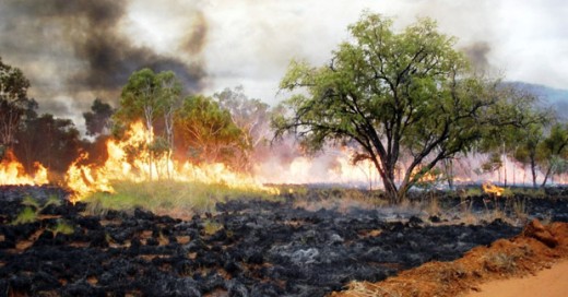 Broadscale-State-Sanctioned-Arson-Kimberley