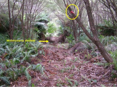 Bonnie_Doon_watercourse_slashed_20080223