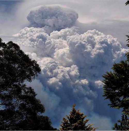 Pyrocumulus clould as Grose Valley goes up in smoke