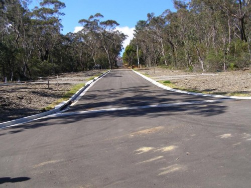 Links Road escarpment development Leura 20080531