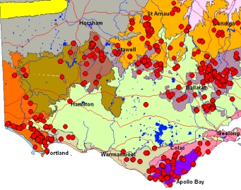 Powerful_owl_map341