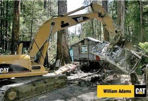 Caterpillar destroying Camp Flozza 13 Jan 2009