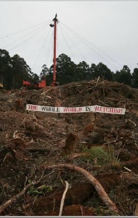Extermination of Tasmania's Southern Forests (HVEC)