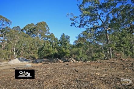Faulconbridge - another section of bushland clearfelled for housing development