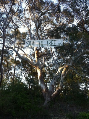 Save the Tree