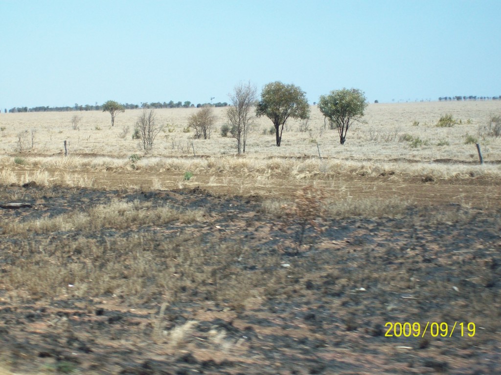 Queensland Overgrazing