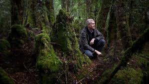 Tony Burke's Forest Legacy