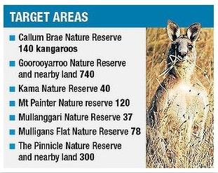 Kangaroos Reserves of slaughter