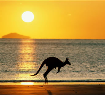 Tourism Australia Kangaroo