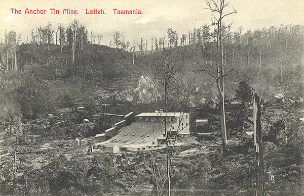 Anchor Tin Mine , Lottah Tasmania (Tasmaniana Library, SLT)