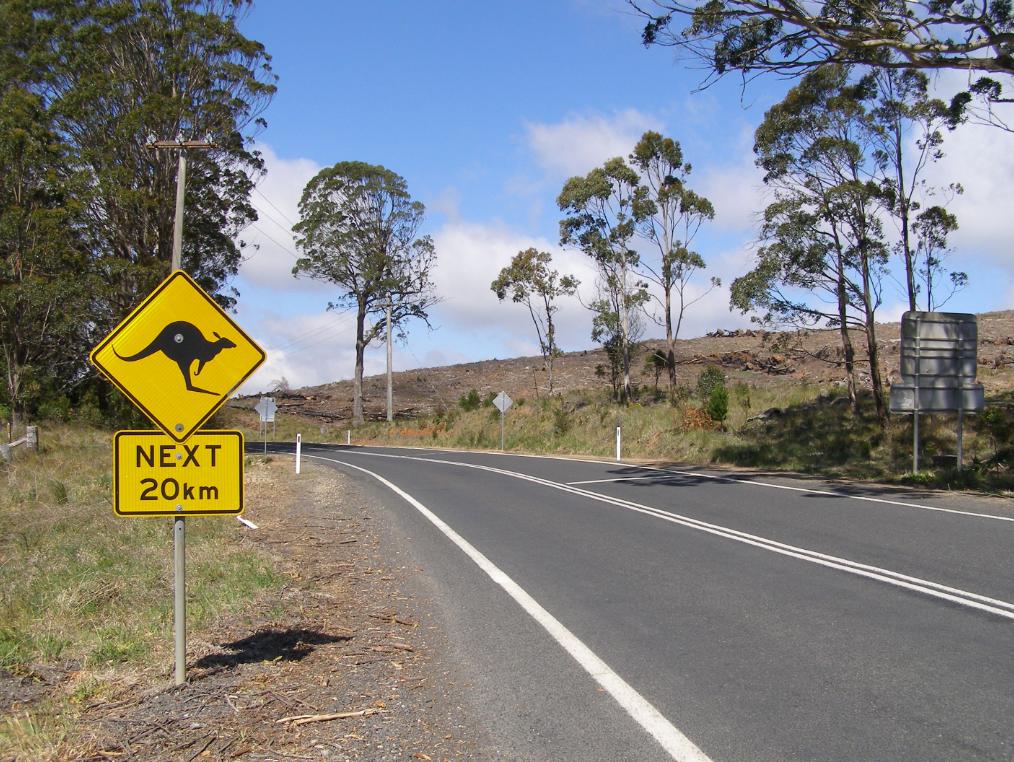 Kangaroo Next 20km Sign