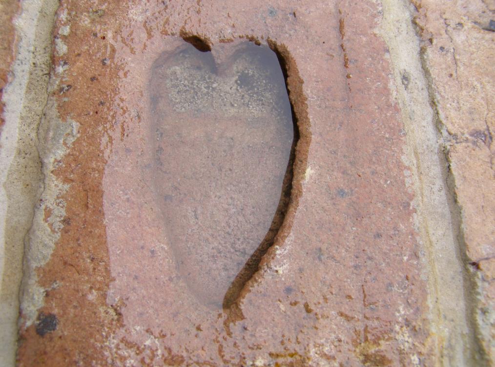 Water filled Heart