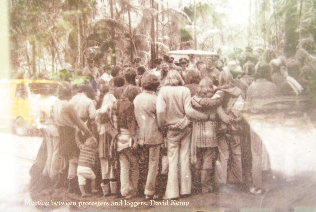 1979 Terania Creek Rainforest Protest