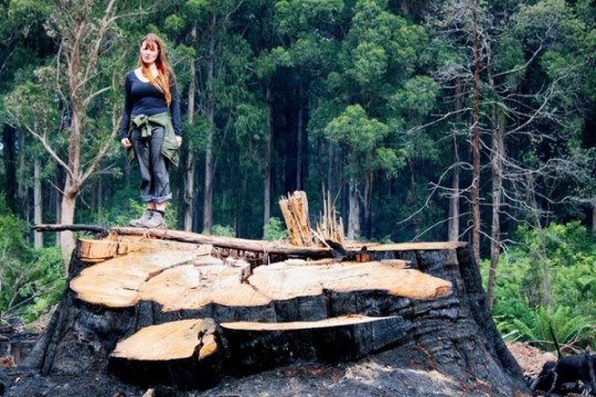 Australian Sustainable Hardwoods Bullshit